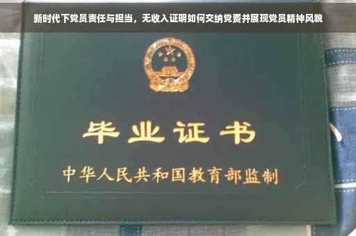 新时代下党员责任与担当，无收入证明如何交纳党费并展现党员精神风貌