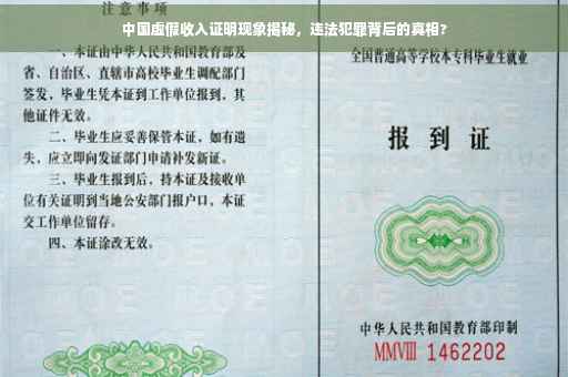 中国虚假收入证明现象揭秘，违法犯罪背后的真相?