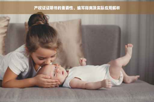产权证证明书的重要性、编写指南及实际应用解析
