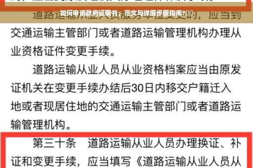 如何申请政府证明书，范文与详细步骤指南?⚡️