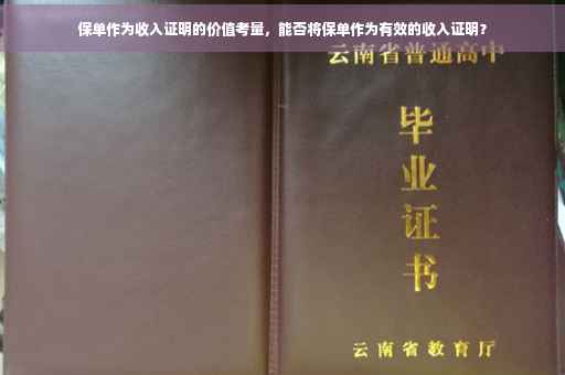 保单作为收入证明的价值考量，能否将保单作为有效的收入证明？