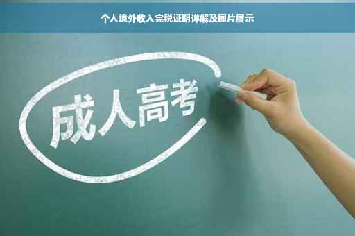 个人境外收入完税证明详解及图片展示