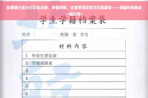 东营银行流水打印全攻略，步骤详解、注意事项及常见问题解答——涵盖所有网点一网打尽！