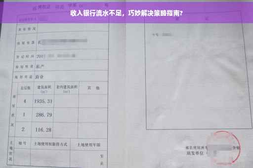 收入银行流水不足，巧妙解决策略指南?
