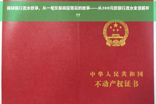 揭秘银行流水故事，从一笔交易窥探背后的故事——从300元到银行流水全景解析??