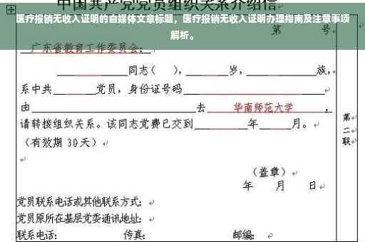 医疗报销无收入证明的自媒体文章标题，医疗报销无收入证明办理指南及注意事项解析。