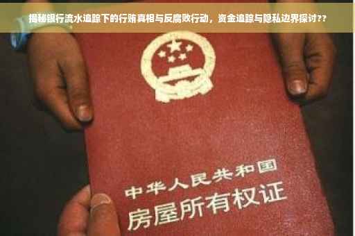揭秘银行流水追踪下的行贿真相与反腐败行动，资金追踪与隐私边界探讨??