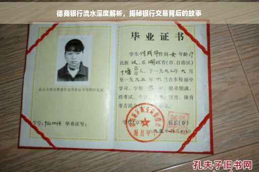 德商银行流水深度解析，揭秘银行交易背后的故事