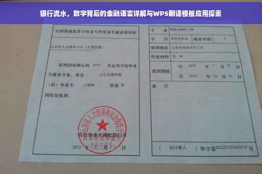 银行流水，数字背后的金融语言详解与WPS翻译模板应用探索