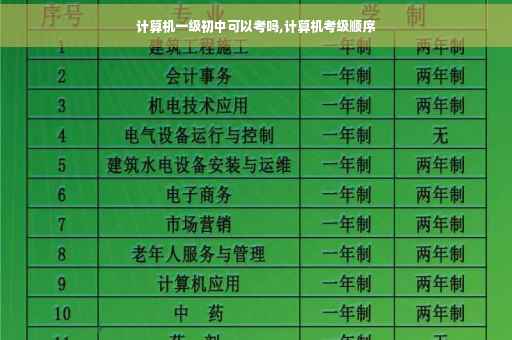 计算机一级初中可以考吗,计算机考级顺序