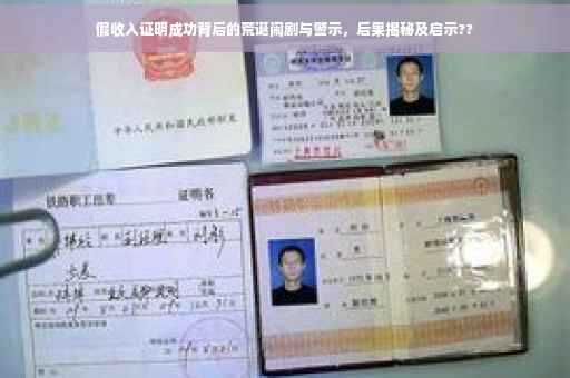 假收入证明成功背后的荒诞闹剧与警示，后果揭秘及启示??