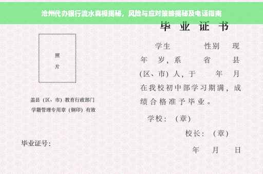 沧州代办银行流水真相揭秘，风险与应对策略揭秘及电话指南