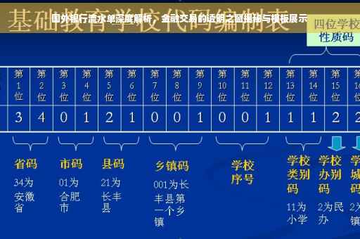 国外银行流水单深度解析，金融交易的透明之窗揭秘与模板展示