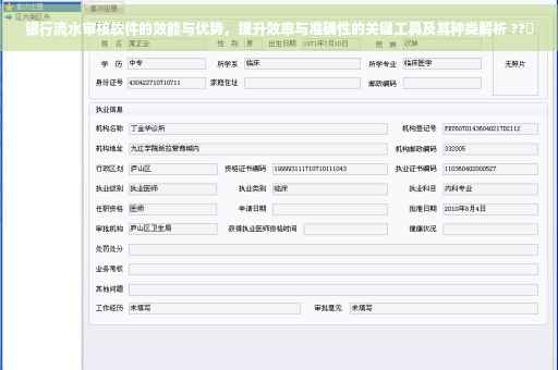 银行流水审核软件的效能与优势，提升效率与准确性的关键工具及其种类解析 ??✨