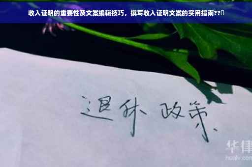 收入证明的重要性及文案编辑技巧，撰写收入证明文案的实用指南??️