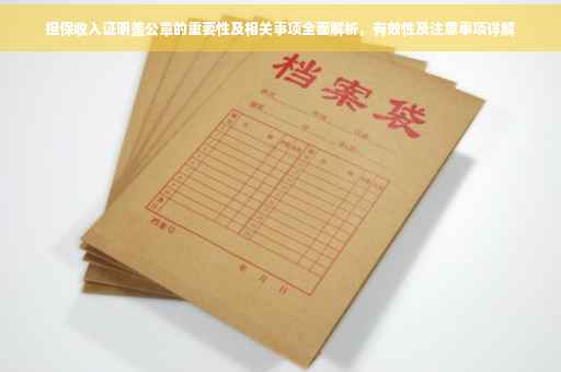 担保收入证明盖公章的重要性及相关事项全面解析，有效性及注意事项详解