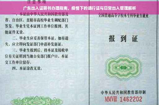 广东出入证明书办理指南，疫情下的通行证与日常出入管理解析