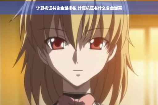 计算机证书含金量排名,计算机证书什么含金量高