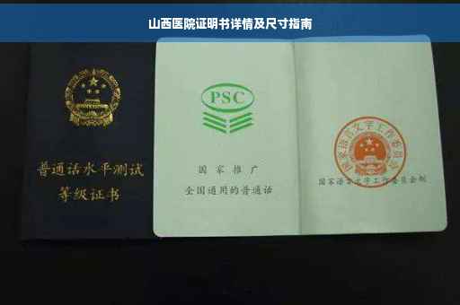 山西医院证明书详情及尺寸指南