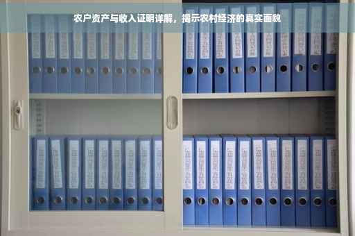 农户资产与收入证明详解，揭示农村经济的真实面貌