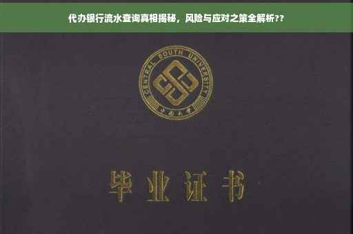 代办银行流水查询真相揭秘，风险与应对之策全解析??