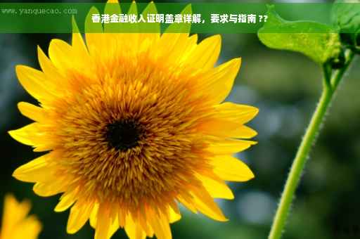 香港金融收入证明盖章详解，要求与指南 ??