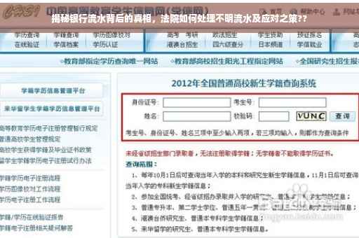 揭秘银行流水背后的真相，法院如何处理不明流水及应对之策??