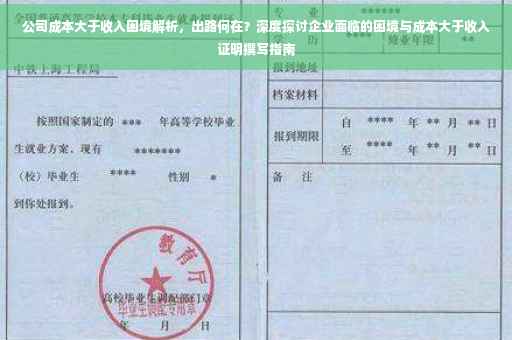 公司成本大于收入困境解析，出路何在？深度探讨企业面临的困境与成本大于收入证明撰写指南
