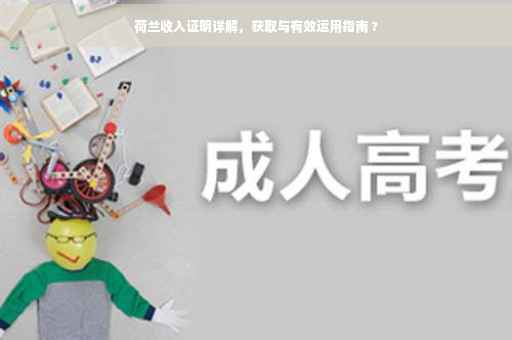 荷兰收入证明详解，获取与有效运用指南 ?