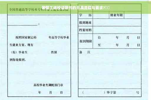暑假工返校证明书的开具流程与要求?⚡️