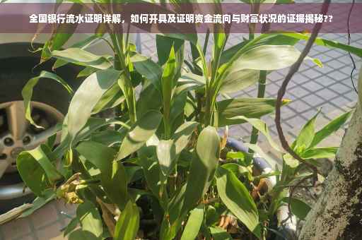 全国银行流水证明详解，如何开具及证明资金流向与财富状况的证据揭秘??