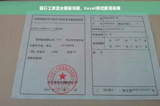 银行工资流水模板详解，Excel格式使用指南