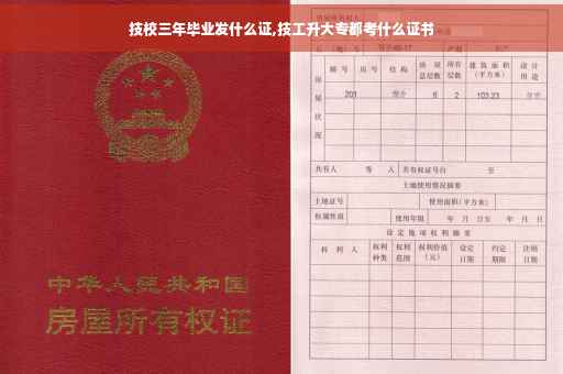 技校三年毕业发什么证,技工升大专都考什么证书