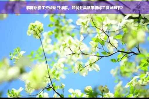 临床职称工资证明书详解，如何开具临床职称工资证明书？