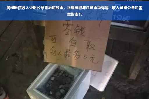 揭秘医院收入证明公章背后的故事，正确获取与注意事项详解 - 收入证明公章的盖章指南?✨