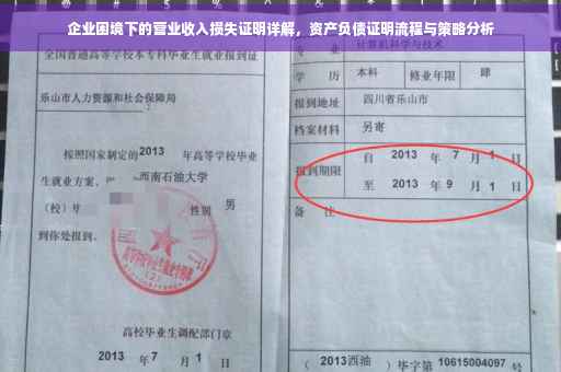 企业困境下的营业收入损失证明详解，资产负债证明流程与策略分析