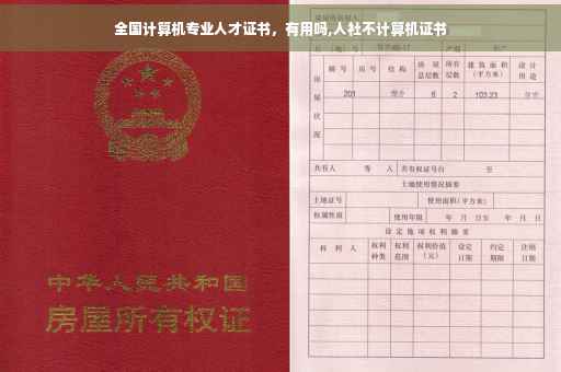 全国计算机专业人才证书，有用吗,人社不计算机证书