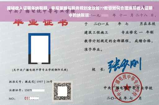 揭秘收入证明年纳税额，申报策略与税务规划全攻略??教你如何合理填写收入证明中的纳税额！