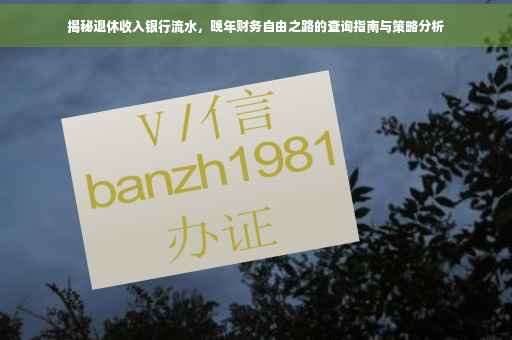 揭秘退休收入银行流水，晚年财务自由之路的查询指南与策略分析