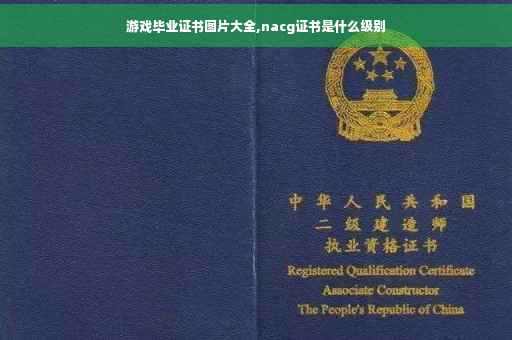 游戏毕业证书图片大全,nacg证书是什么级别