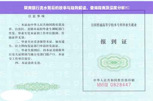 陇南银行流水背后的故事与趋势解读，查询指南及深度分析?✨
