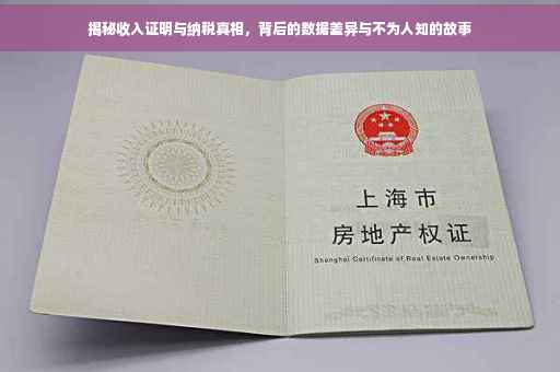 揭秘收入证明与纳税真相，背后的数据差异与不为人知的故事