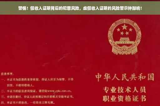 警惕！假收入证明背后的犯罪风险，虚假收入证明的风险警示钟敲响！