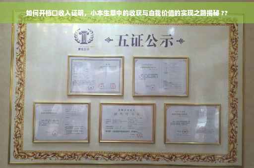 如何开档口收入证明，小本生意中的收获与自我价值的实现之路揭秘 ??