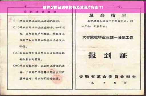 精神诊断证明书模板及其图片指南 ??