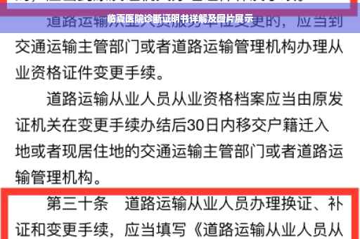 临夏医院诊断证明书详解及图片展示