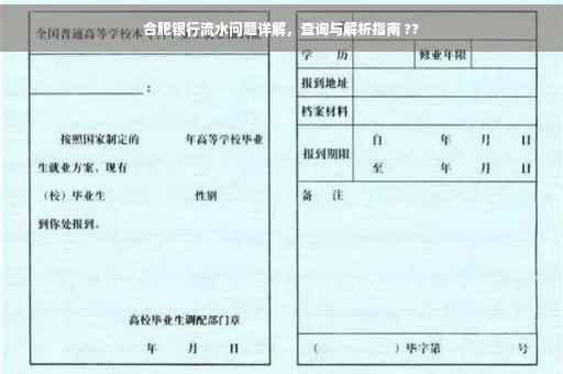 合肥银行流水问题详解，查询与解析指南 ??