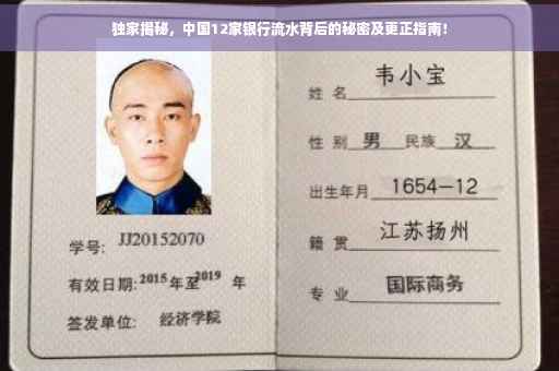 独家揭秘，中国12家银行流水背后的秘密及更正指南！