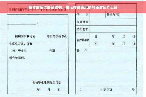 真实病历诊断证明书，揭示疾病背后的故事与图片见证