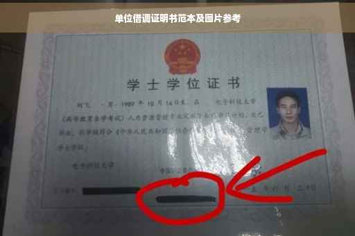 单位借调证明书范本及图片参考